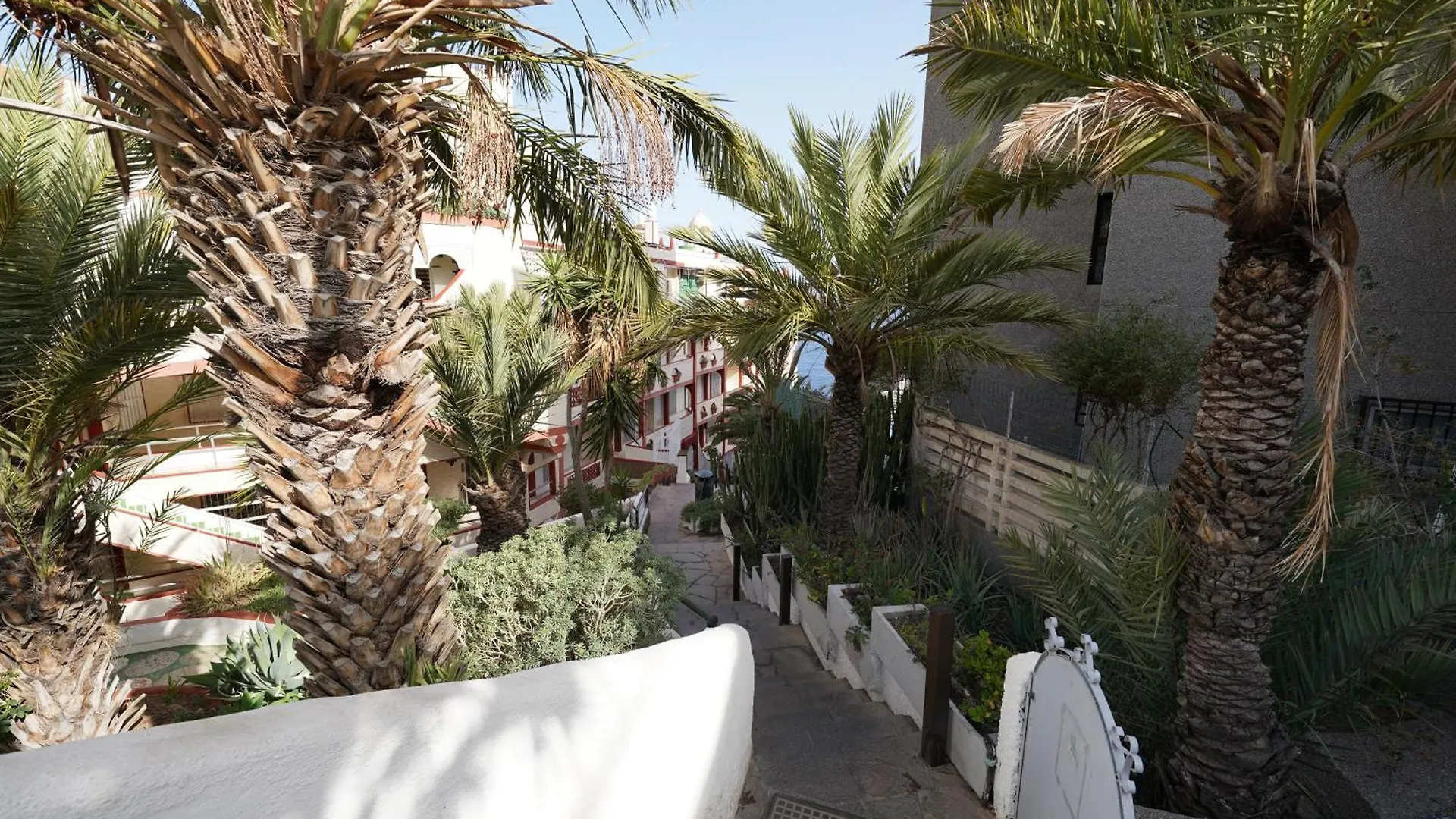 Ocean View First Sea Line Apartment Tabaiba